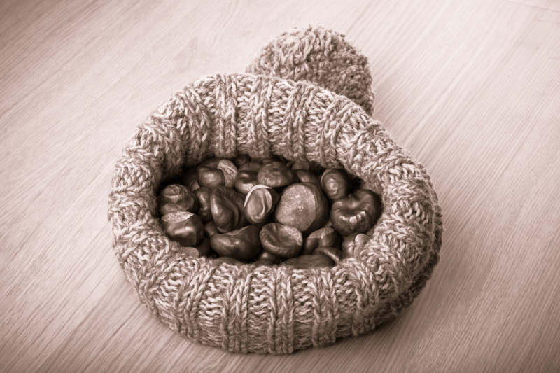 Boost Home Sustainability with Expert Waste Prevention